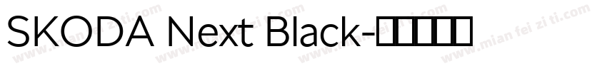 SKODA Next Black字体转换